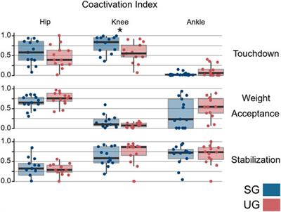 Proactive Modulation in the Spatiotemporal Structure of Muscle Synergies Minimizes Reactive Responses in Perturbed Landings